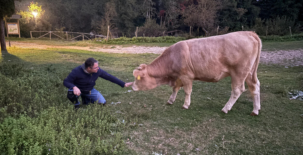 Vidéki olasz szállásunk Bagni di Lucca környékén Vidéki olasz szállásunk Bagni di Lucca környékén